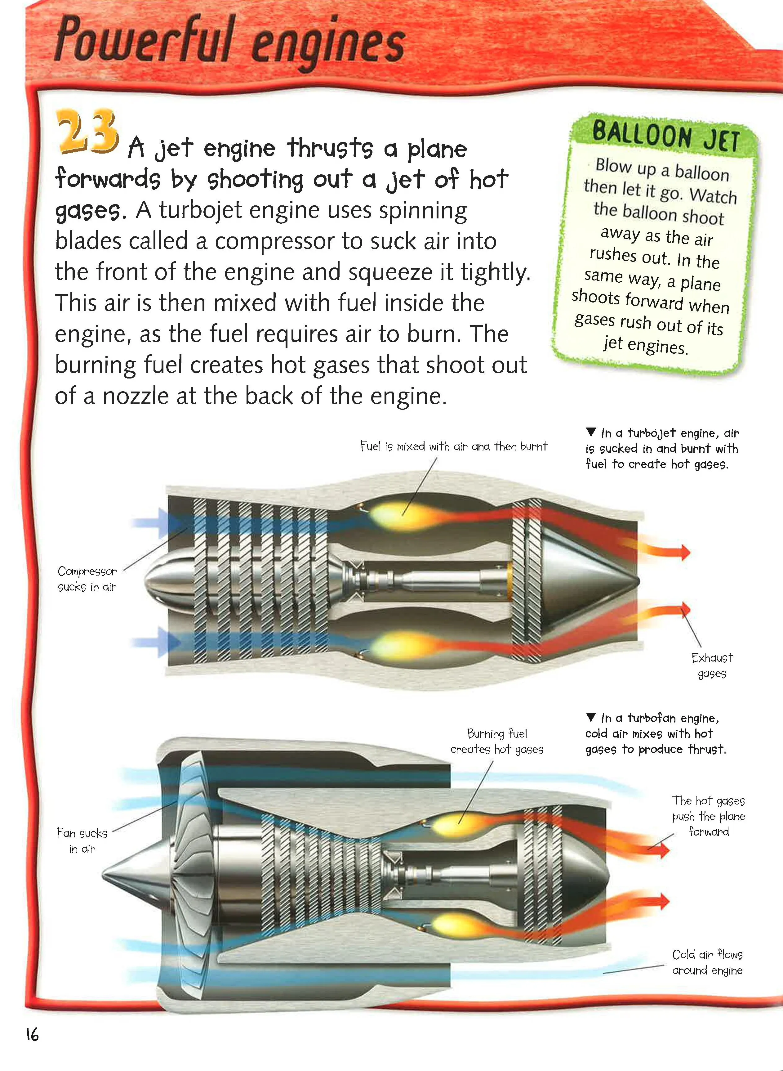 100 Facts: Flight