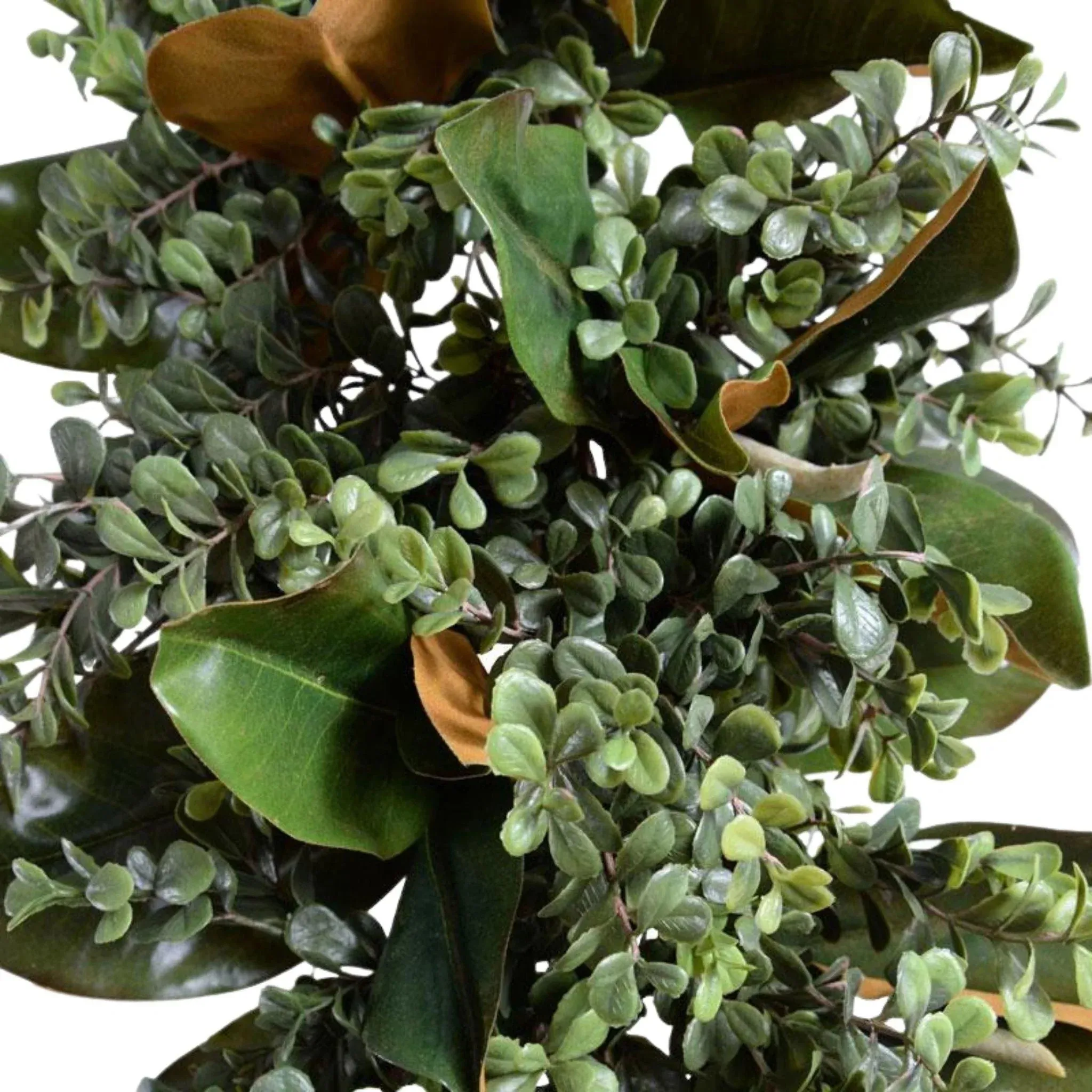 6' Boxwood and Magnolia Leaf Garland