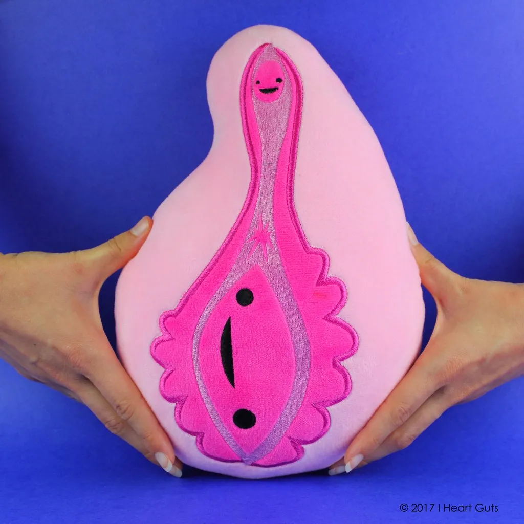 Anatomical Vagina   Vulva Plush