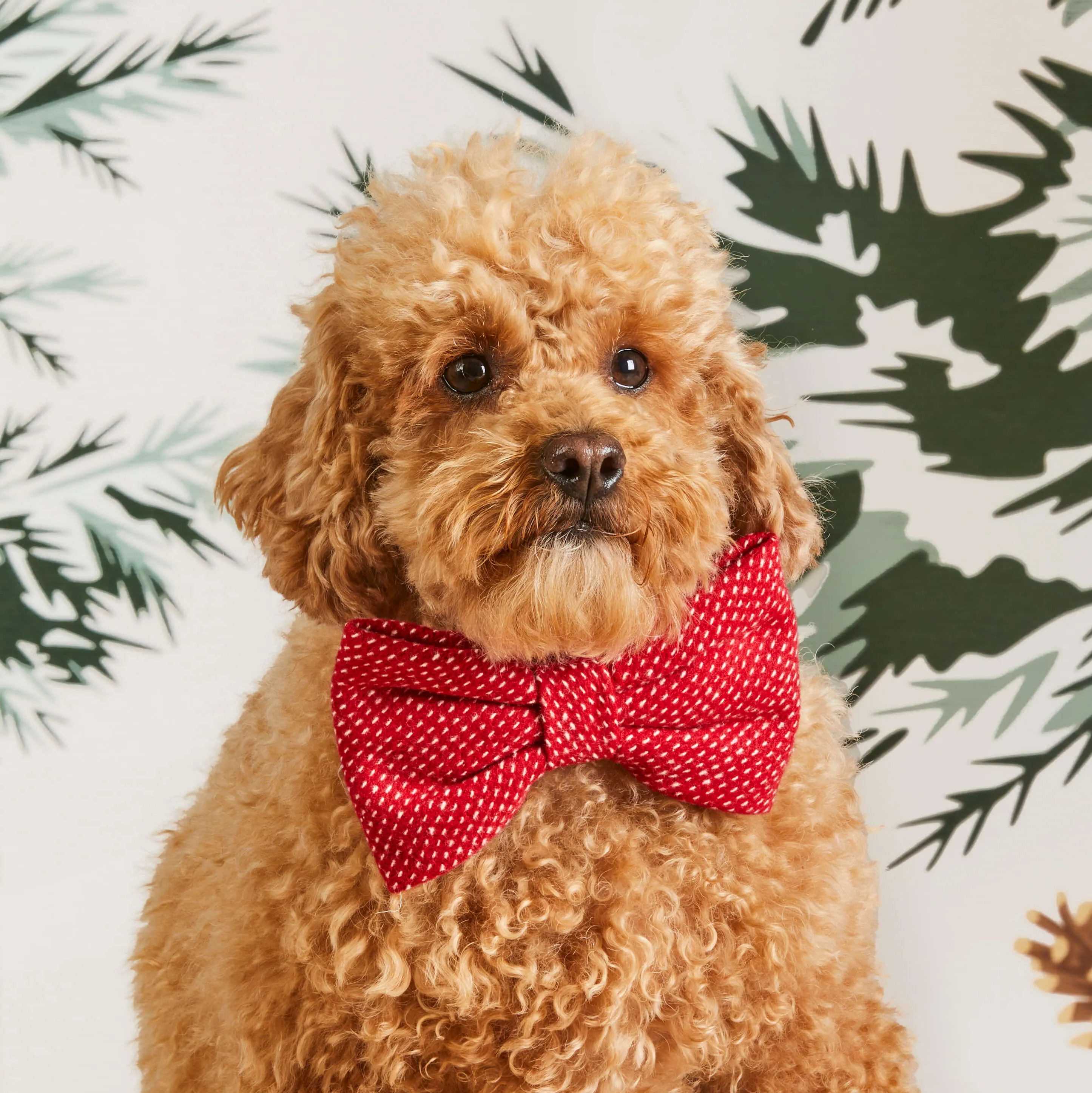 Berry Stitch Flannel Dog Bow Tie