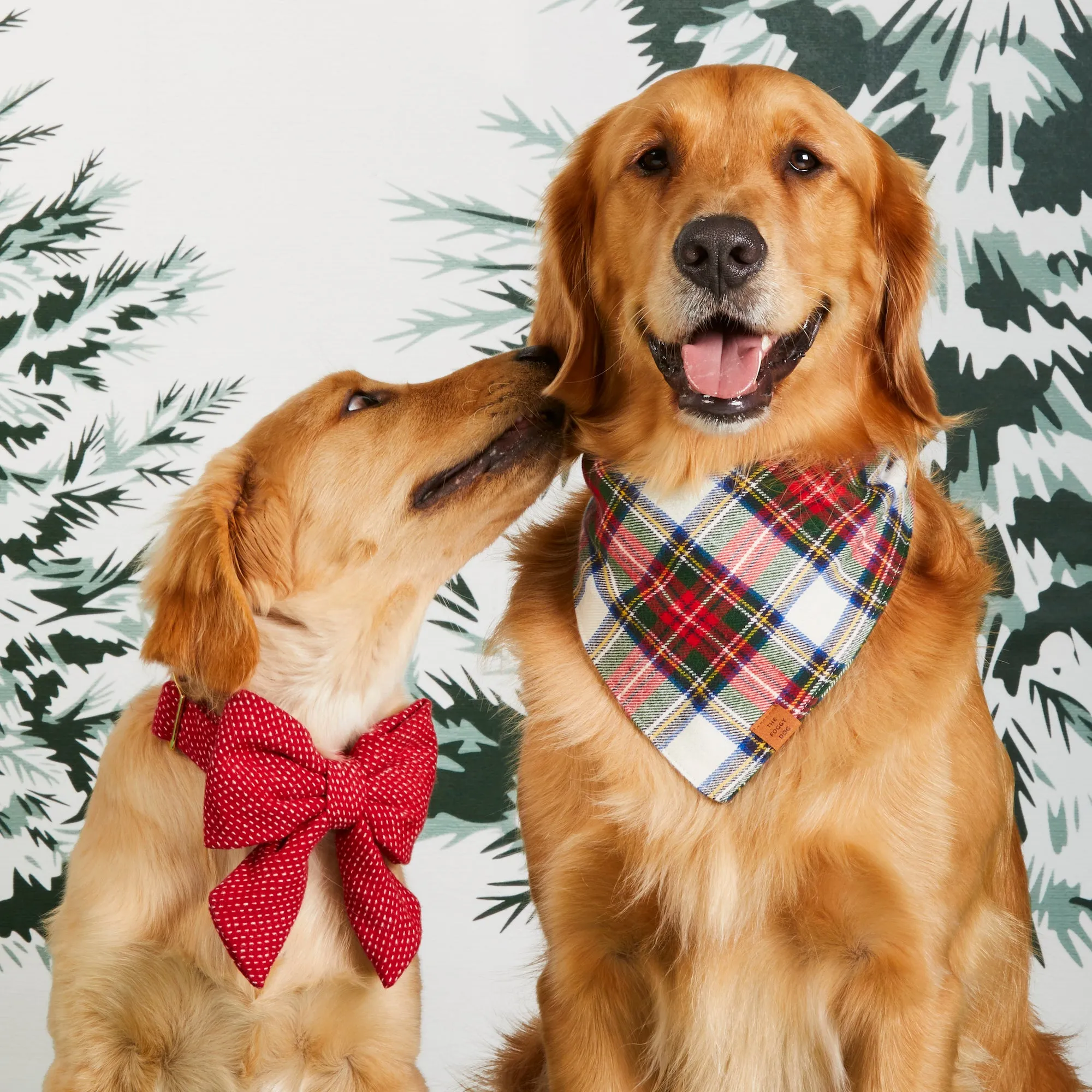 Berry Stitch Flannel Lady Bow Collar