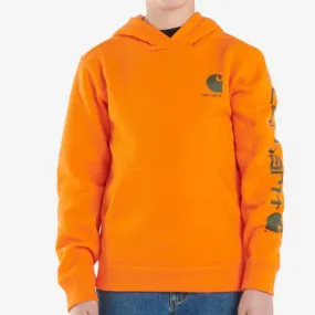 Boy's Carhartt Graphic Pullover