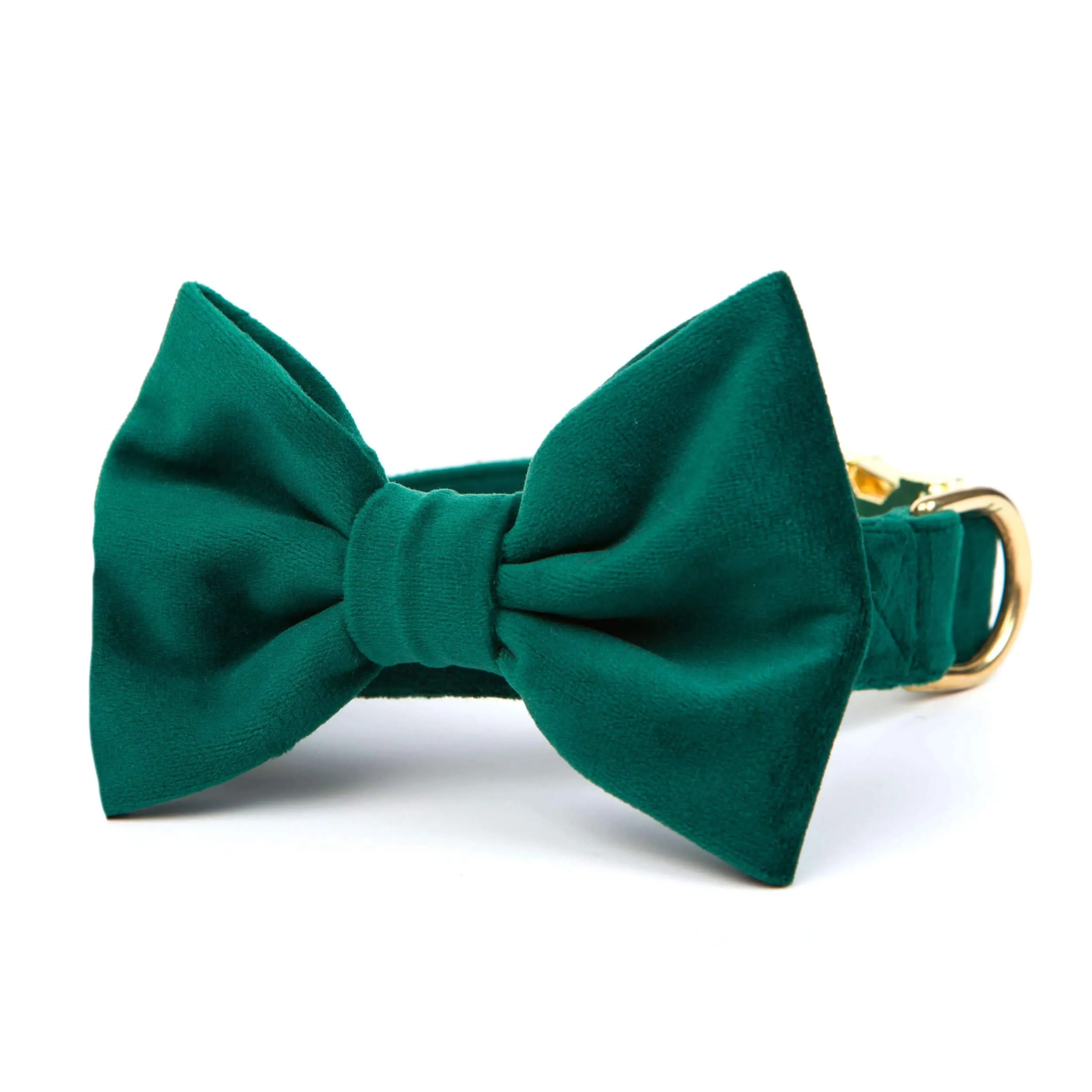 Forest Green Velvet Bow Tie Collar