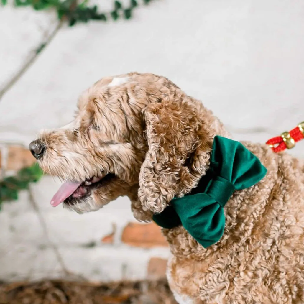 Forest Green Velvet Bow Tie Collar