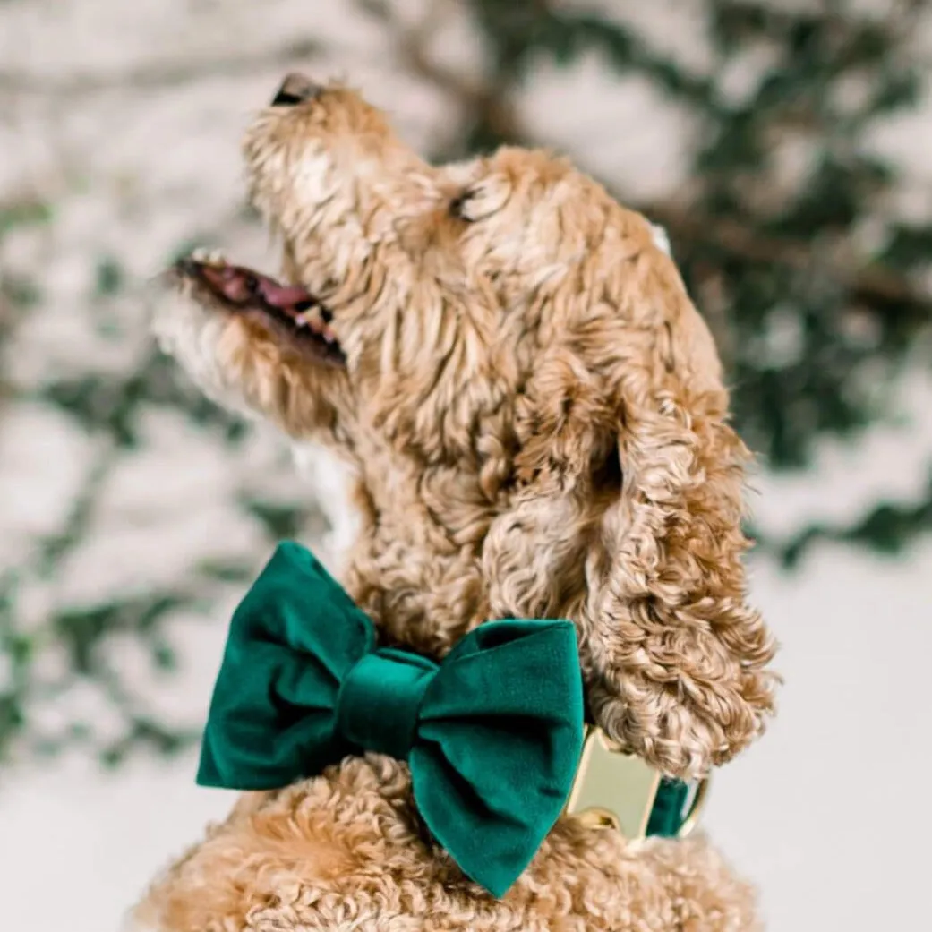 Forest Green Velvet Bow Tie Collar