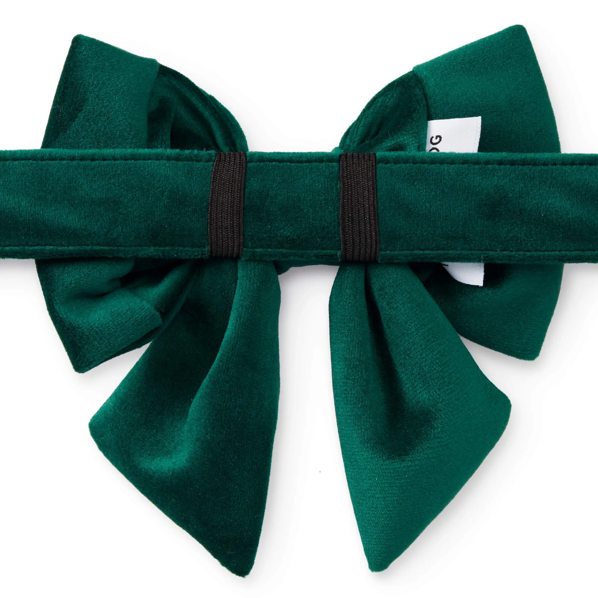 Forest Green Velvet Lady Dog Bow