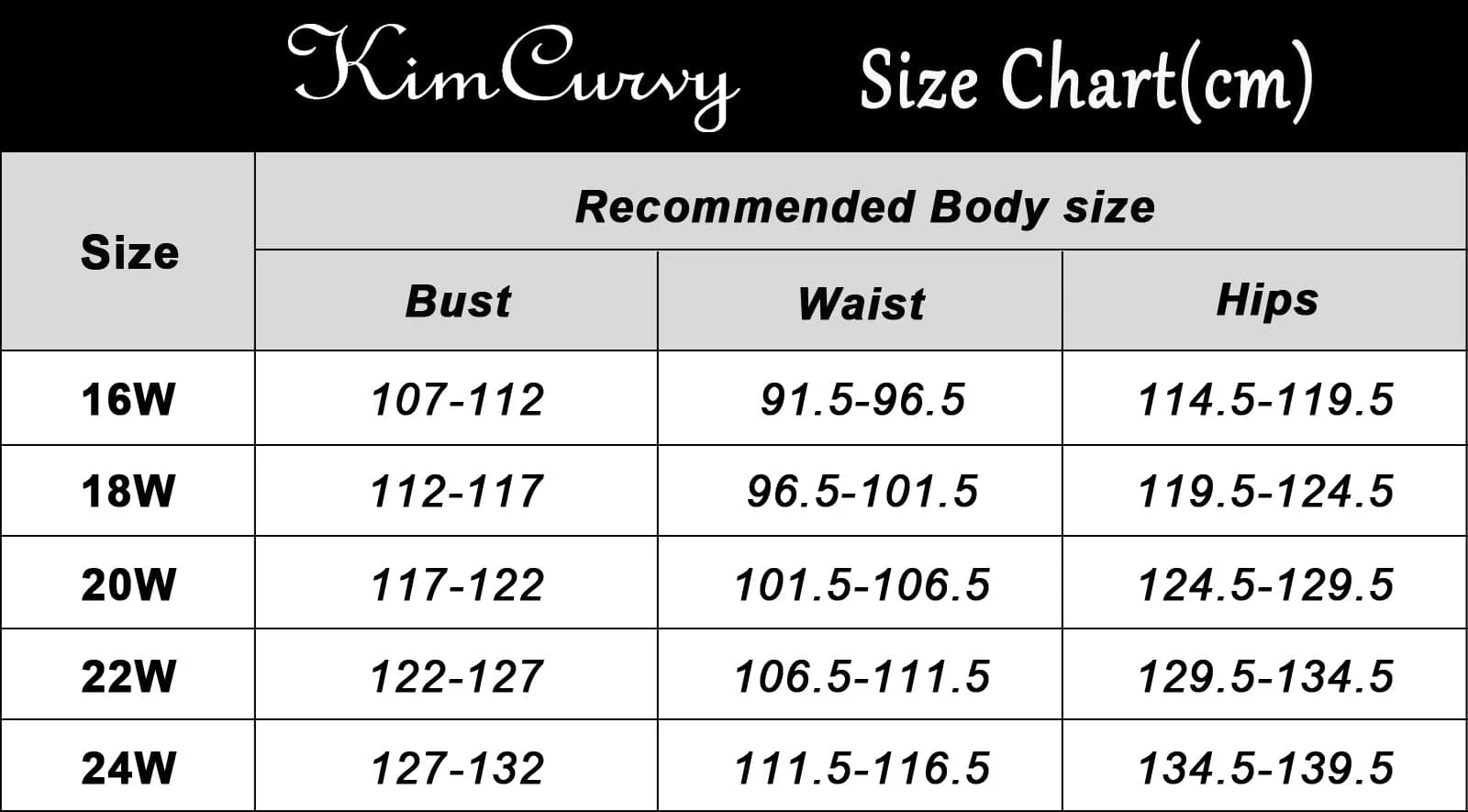 HN Women Plus Size 2pcs Set Swim Suit Padded Swim Tops High Waist Briefs