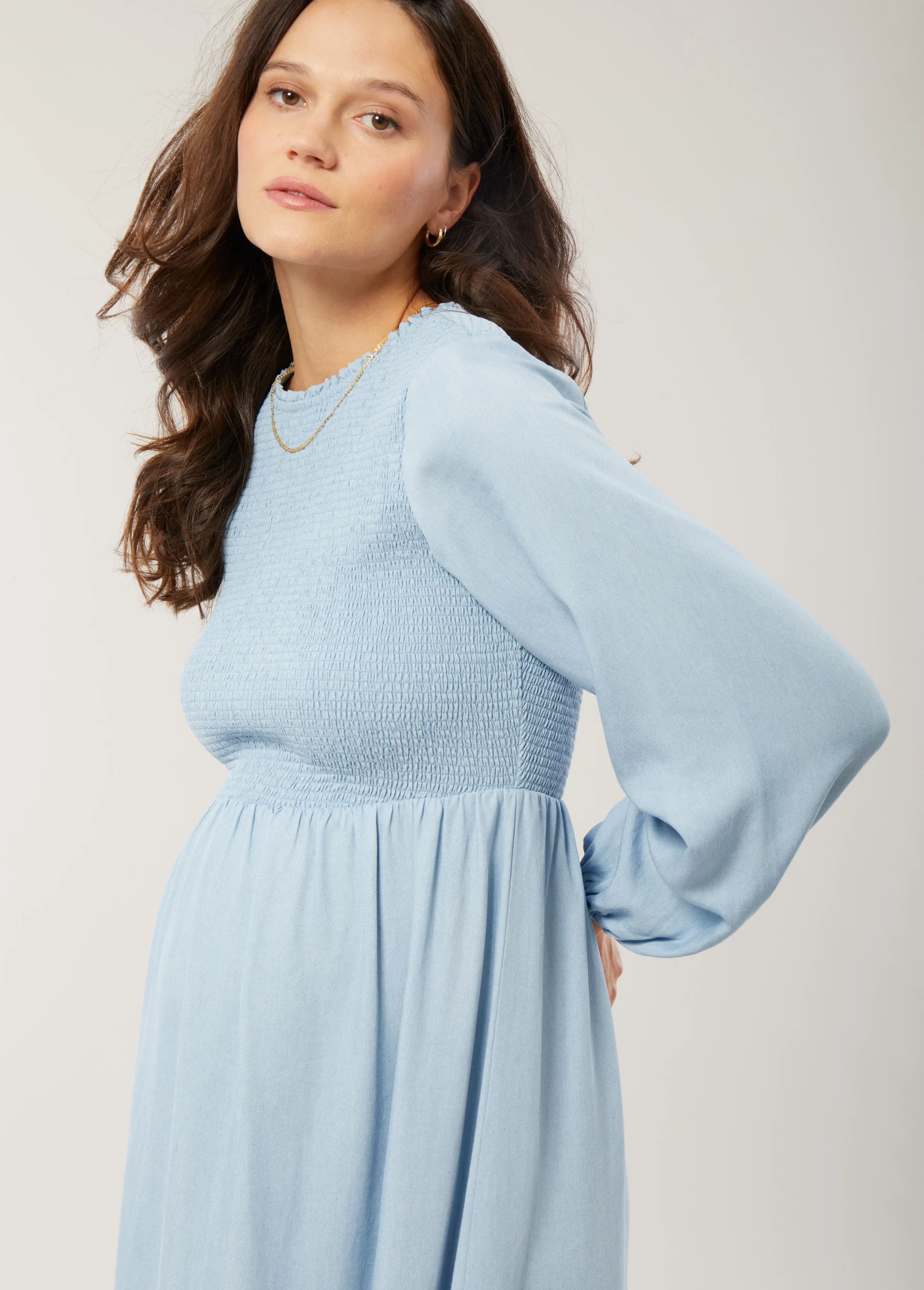 Meadow Chambray Maternity Dress