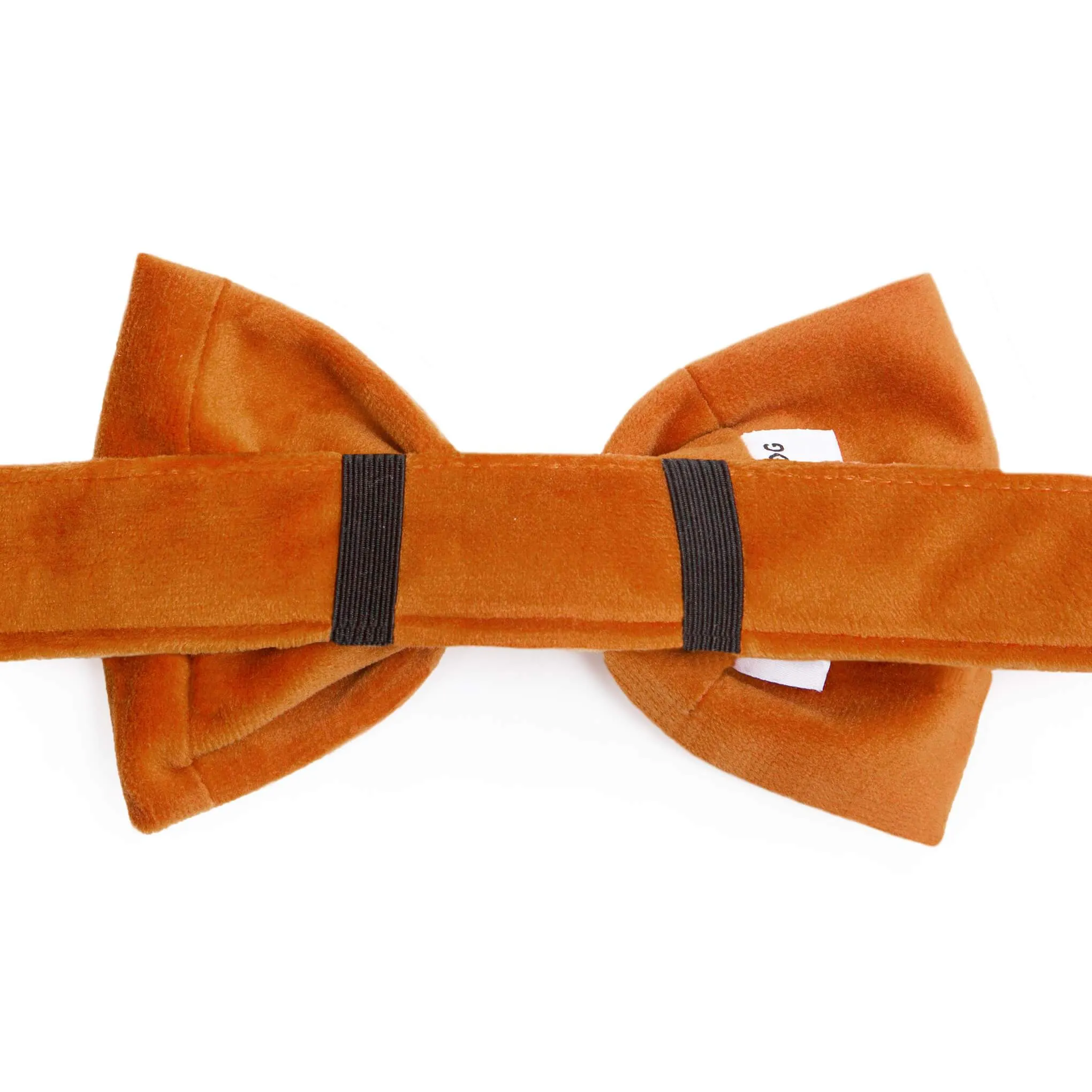 Pumpkin Velvet Bow Tie Collar