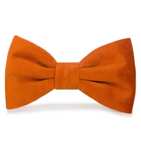 Pumpkin Velvet Dog Bow Tie